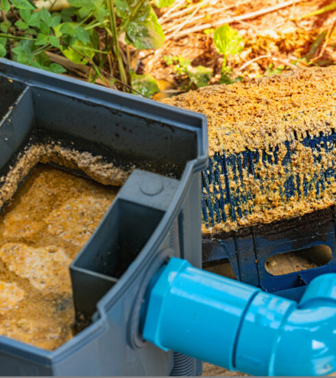 Attivatori Biologici scarichi Alimentari Industriali