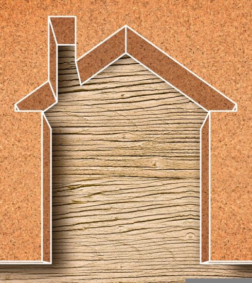 vernice a base di sughero